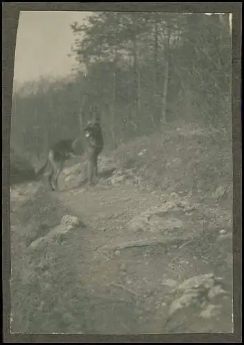 20x Foto Reise durch Bayern und Österreich Dörfer, Wandern, Bergsteigen 1920-30