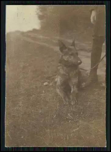 20x Foto Reise durch Bayern und Österreich Dörfer, Wandern, Bergsteigen 1920-30