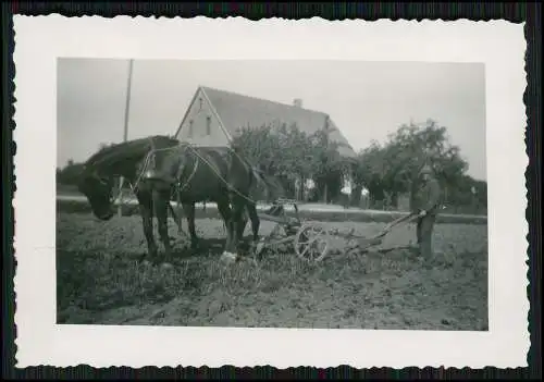 8x Foto Feldarbeit auf Bauernhof Pferd zieht den Pflug über den Acker uvm. 1939