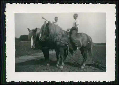 8x Foto Feldarbeit auf Bauernhof Pferd zieht den Pflug über den Acker uvm. 1939