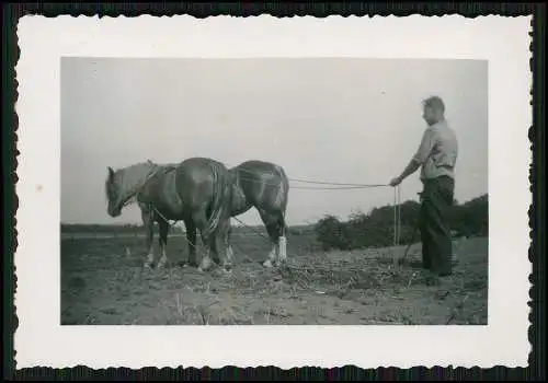 8x Foto Feldarbeit auf Bauernhof Pferd zieht den Pflug über den Acker uvm. 1939