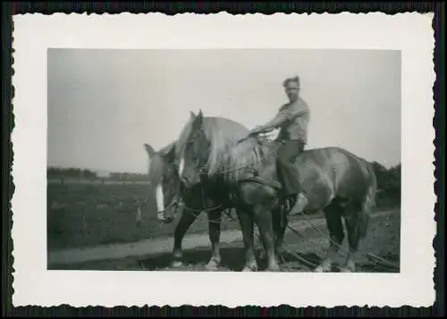 8x Foto Feldarbeit auf Bauernhof Pferd zieht den Pflug über den Acker uvm. 1939