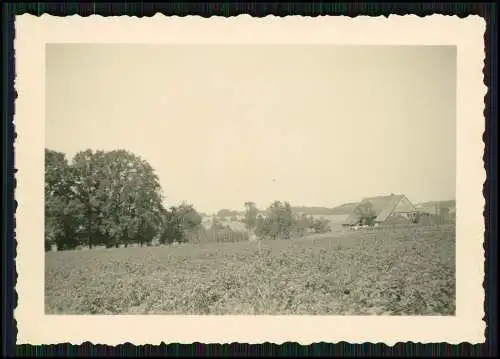 5x Foto Neuenkirchen-Redecke Melle Lr. Osnabrück Ansichten 1935-40