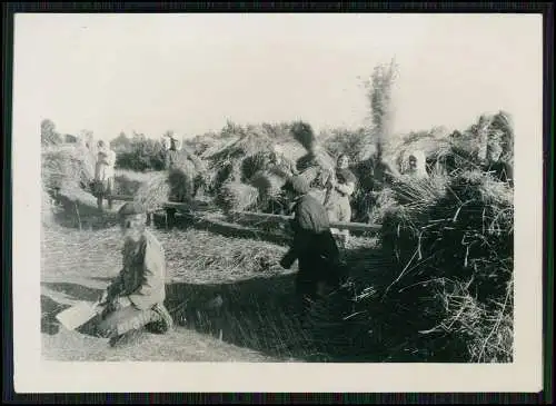 4x Foto Dorf in Russland Bauern Familie bei der Ernte Hütten Stroh 1942-43