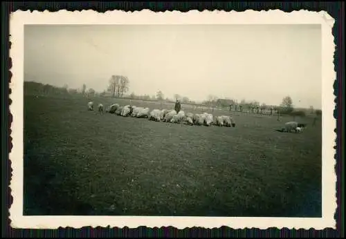 10x Foto Soldaten RAD Baracken Lager Arbeitseinsatz uvm. 1938-40