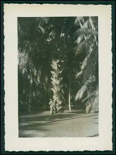 12x Foto Deut. Fam. Auswanderung in Brasilien Rio de Janeiro Ausflug Favela 1942