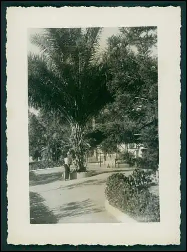 12x Foto Deut. Fam. Auswanderung in Brasilien Rio de Janeiro Ausflug Favela 1942