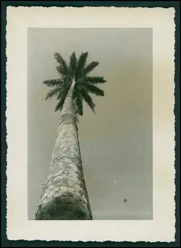 15x Foto Deut. Fam. Auswanderung in Brasilien Rio de Janeiro Ausflug Favela 1942