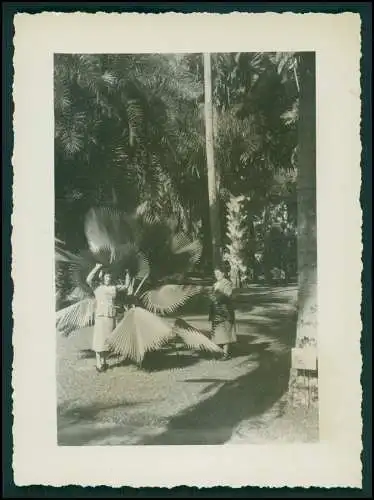 15x Foto Deut. Fam. Auswanderung in Brasilien Rio de Janeiro Ausflug Favela 1942