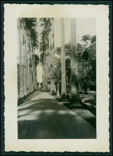 15x Foto Deut. Fam. Auswanderung in Brasilien Rio de Janeiro Ausflug Favela 1942