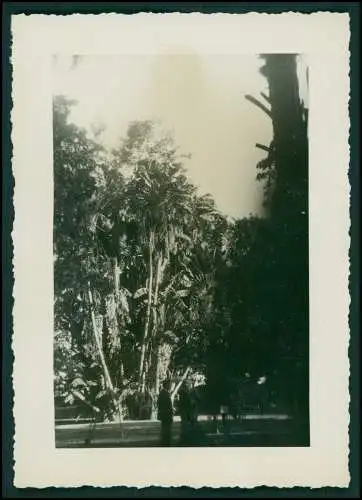 15x Foto Deut. Fam. Auswanderung in Brasilien Rio de Janeiro Ausflug Favela 1942