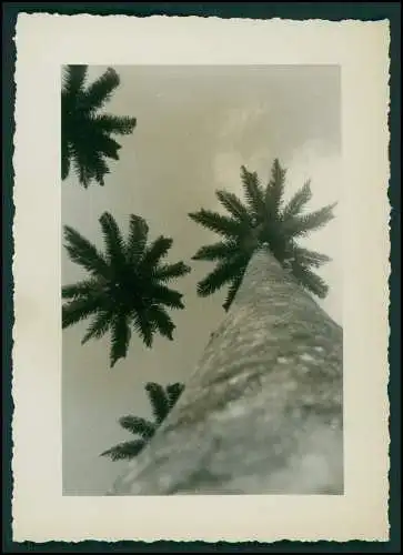 15x Foto Deut. Fam. Auswanderung in Brasilien Rio de Janeiro Ausflug Favela 1942