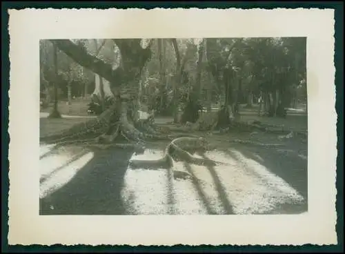 12x Foto Deutsche Familie Auswanderung in Brasilien Rio de Janeiro Ausflug 1942