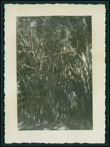 12x Foto Deutsche Familie Auswanderung in Brasilien Rio de Janeiro Ausflug 1942