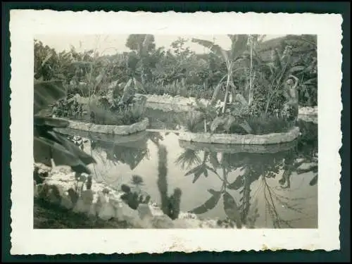 11x Foto Deutsche Familie Auswanderung in Brasilien Rio de Janeiro 1939.