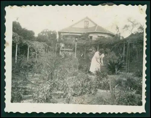 18x Foto Deutsche Familie Auswanderung Brasilien Porto Alegre 1928-33