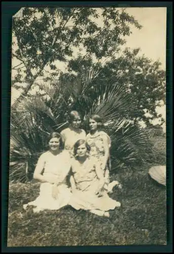 12x Foto Deutsche Familie Auswanderung Brasilien  Santa Maria o. Pinhal 1928-33.