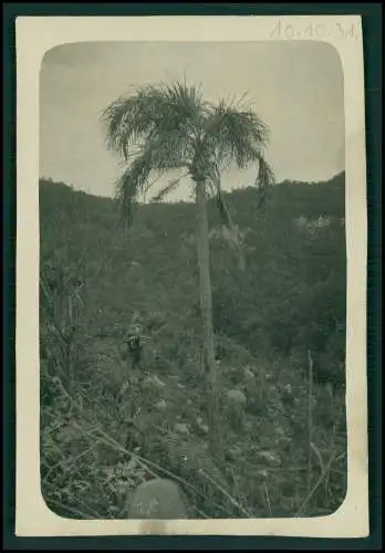 10x Foto Deutsche Familie Auswanderung Brasilien Jagdausflug Santa Maria 1931-33