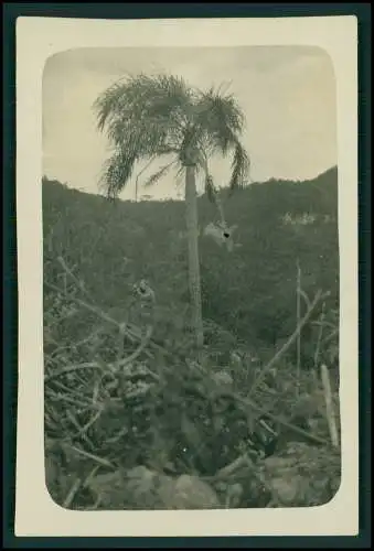 10x Foto Deutsche Familie Auswanderung Brasilien Jagdausflug Santa Maria 1931-33