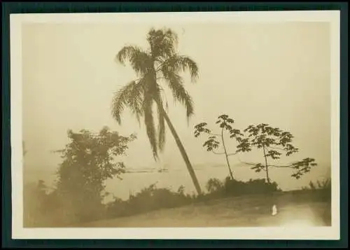 17x Foto Deutsche Auswanderer mit Geschäft in Rio de Janeiro Brasilien 1929-30