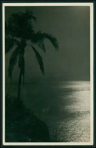 Foto AK Brasilien Santos Guaruja Palmeiras Palmenstrand - 1930 gel. nach Essen