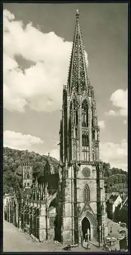 Riesen Foto AK 21x11cm Freiburg im Breisgau Kirche Münster Kathedrale