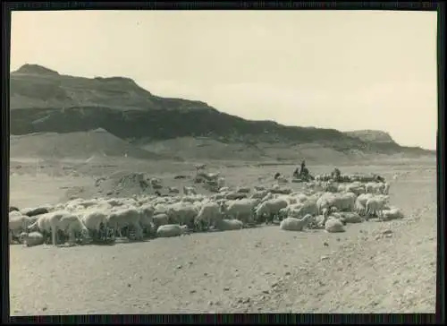 USA 12x Fotos Erlebnise Reise durch die Vereinigten Staaten von Amerika 1948-55