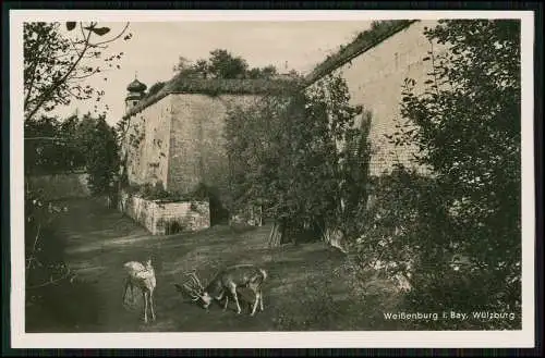 Foto AK Weißenburg Mittelfranken - Lr. Gunzenhausen - Wülzburg mit Hirsche 1939