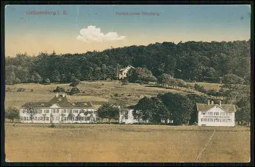 AK Weißenburg am Sand Mittelfranken Bayern Ferienkolonie Nürnberg 1917 Feldpost