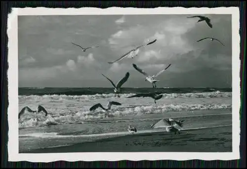 7x Foto Borkum Urlaub Promenade uvm. Flugzeug Doppeldecker über Strand 1936