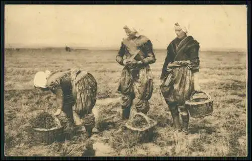 AK  Zeeland Niederlande Op de Zeeuwsche Schorren Frauen Niederländische Tracht