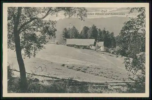 AK Ried Elsass Bauernhof zwischen Münster und Kahlenwasen Straßburg Colmar 1917