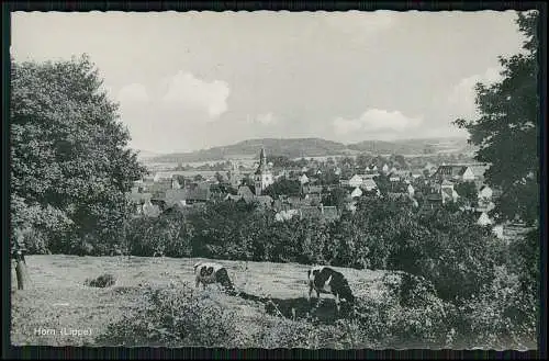 AK Blick auf Horn-Bad Meinberg mit Kirche Lippe Detmold Cekade Karte Dortmund