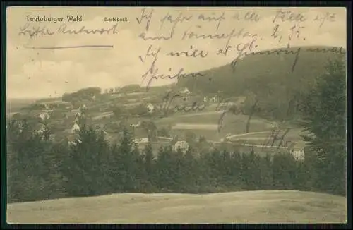 AK Berlebeck Detmold Lippe im Teutoburger Wald, Panorama 1917 Feldpost gelaufen