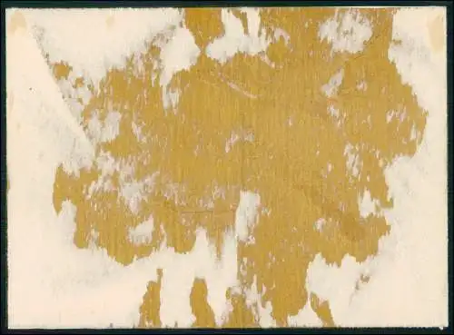 Foto 22x16 cm Französische Soldaten Gruppenbild Arbeitslager Gefangenschaft o.ä.