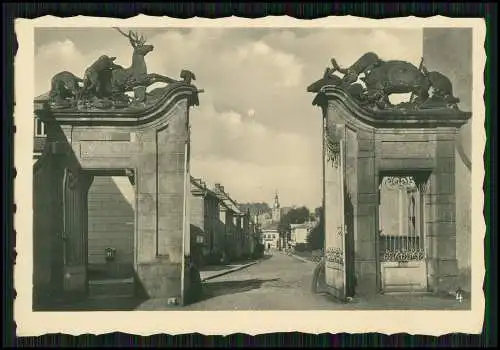 2x Foto Arnsberg im Sauerland Glockenturm Rathausbrunnen Hotel Zur Krim uvm 1940