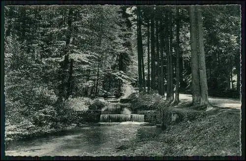 Echt Foto AK Berlebeck Detmold im Teuteburger Wald Berlebecker Quellen