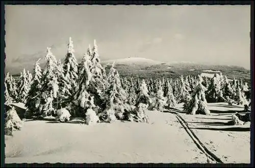 Echte Fotografie AK der Harz im Winter mit Blick zum Brocken Panorama
