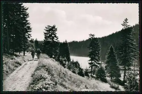 Echt Foto AK Clausthal Zellerfeld Oberharz Partie am Unterern Spiegeltaler Teich