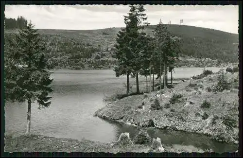 Foto AK im malerischen Hochharz am Teich bei Boxberg und Auerhahn Partie am See