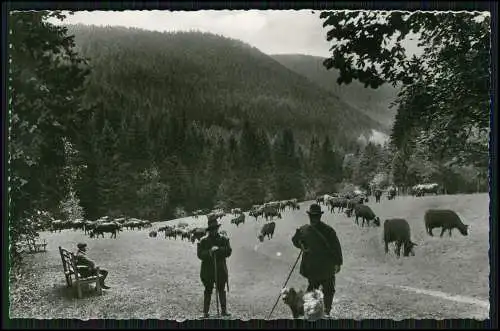 Foto AK Rinderhirten mit Kuhhund im malerischen Harzidyll Clausthal Zellerfeld