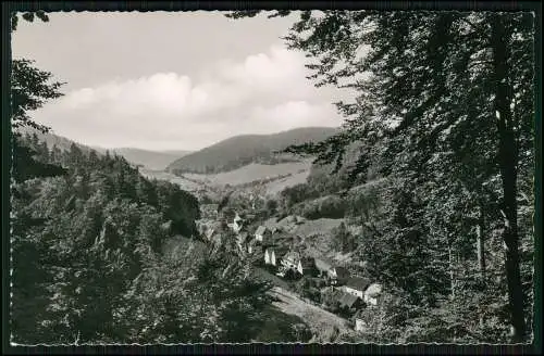 Foto AK Bad Grund im Harz, Blick auf den Ort vom Iberger Kaffeehaus gesehen