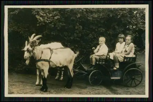 17x Foto Tatenhausen Tatenhauser Wald bei Halle Lr. Gütersloh Familie 1920-30
