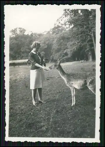 16x Foto Oberlengenhardt Schömberg Bad Liebenzell Schwarzwald Soldat Urlaub 1940