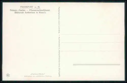 6x AK Frankfurt am Main Verschiedene Ansichten 1900-1920 teilweise gelaufen