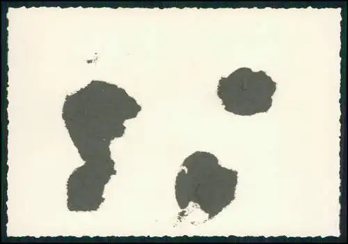 Foto 14×10 cm Lüdenscheid Meinerzhagen, Versetalsperre, Stausee 1936