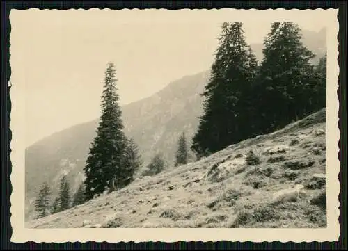 7x Foto Bergen im Chiemgau Lr. Traunstein Dorf Panorama Kirche und Schutzhütte