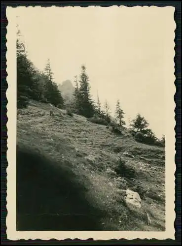 7x Foto Bergen im Chiemgau Lr. Traunstein Dorf Panorama Kirche und Schutzhütte