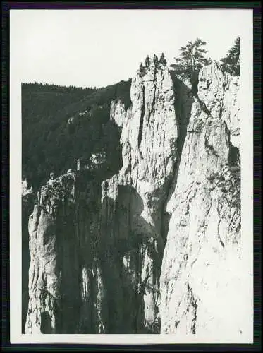 17x Foto Musik-Kapelle Band die 4 Scheffel Reise Geige Akkordeon uvm. 1933-1945