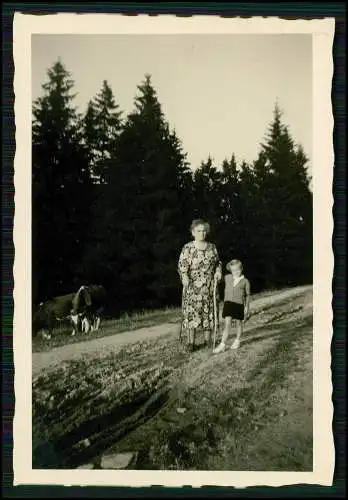 21x Foto Dorf im Sauerland Straße mit Fachwerkhäuser Gasthof Landschaft 1945-50